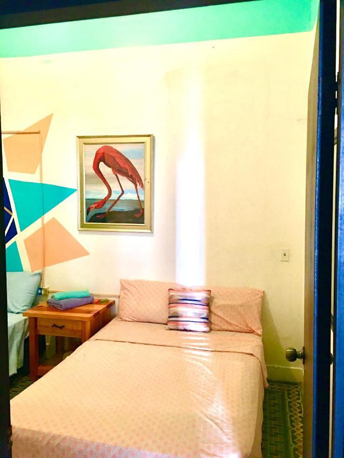 Medusa'S Hostel Aguadilla Eksteriør billede